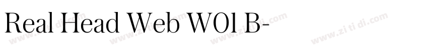 Real Head Web W01 B字体转换